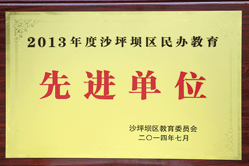 2013沙坪壩區民辦先進單位