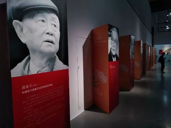 参观d