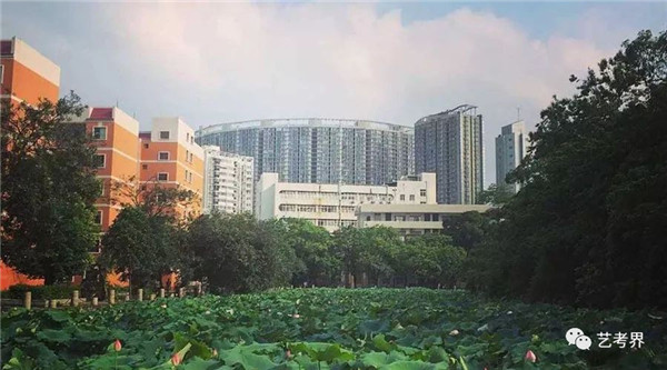q西大学 q西大学